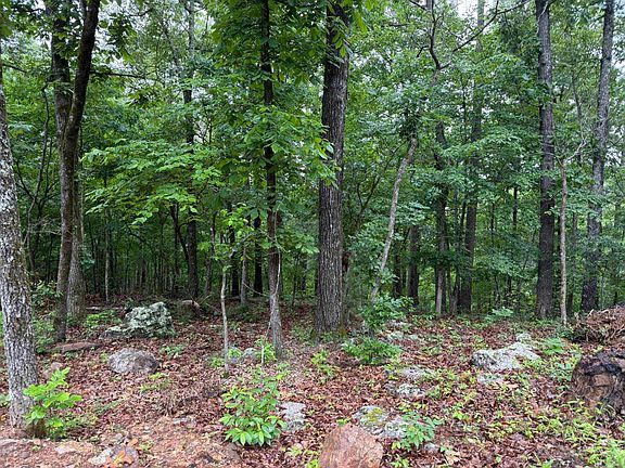 3rd image of 37 Tall Pine Cir