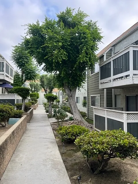 Villa Woods Apartments