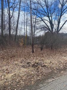 Point Dr, Clare, MI, 48617