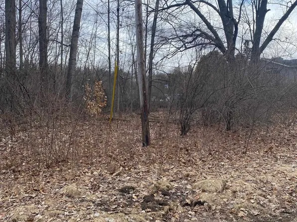 Point Dr, Clare, MI 48617