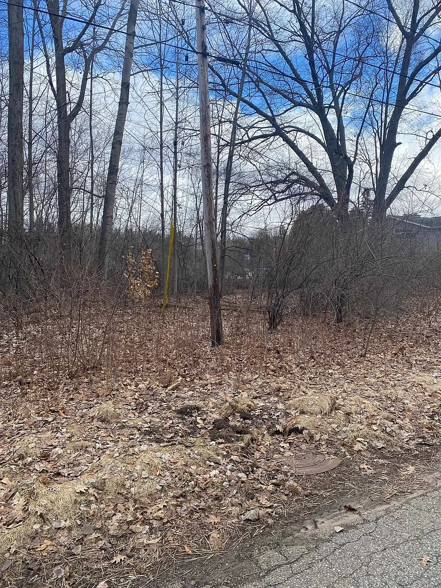 Point Dr photo 1
