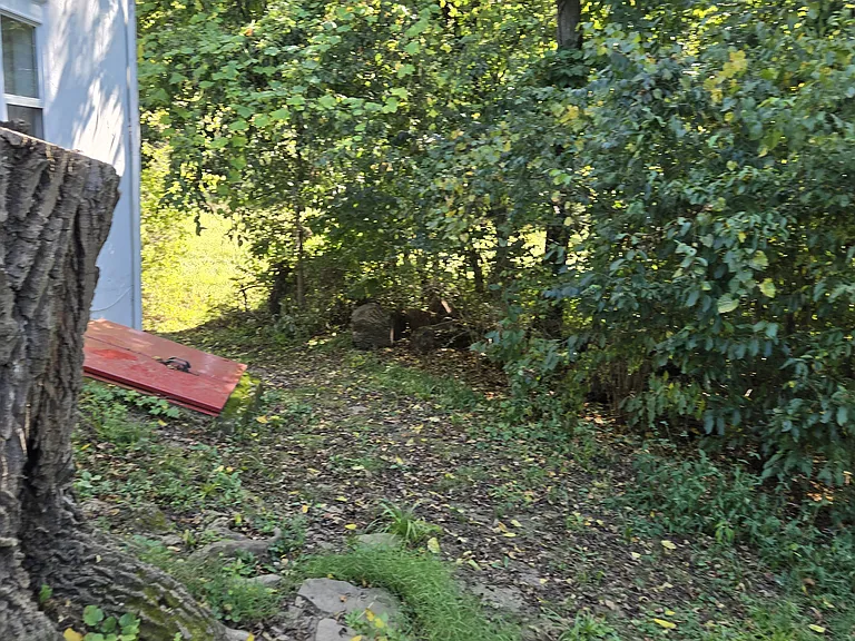 yard