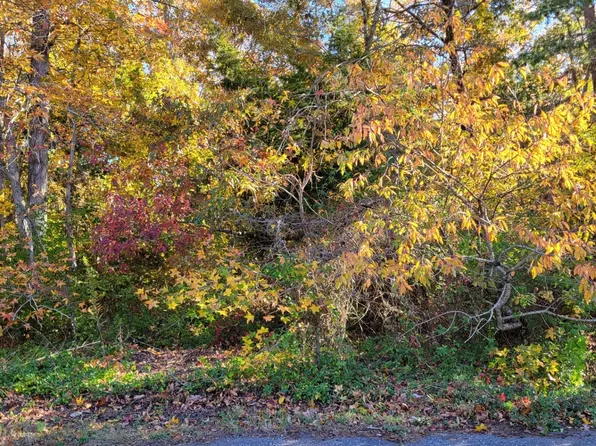 103 Sheridan Dr, Cape May, NJ 08204