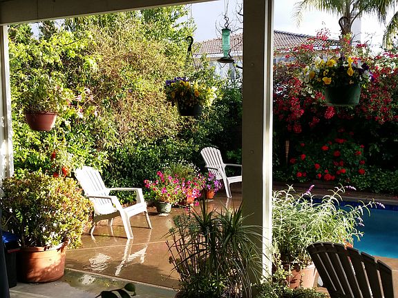 Poolside from Patio Cover