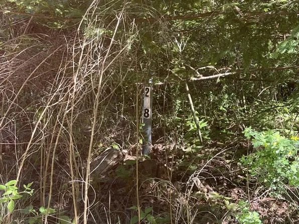 (undisclosed Address), Los Gatos, CA 95033