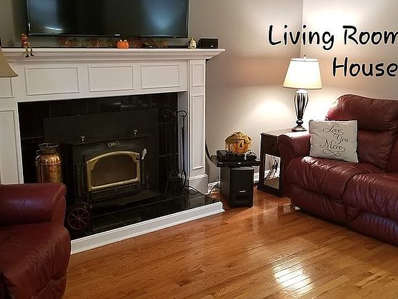 Wood Burning Buck Stove insert