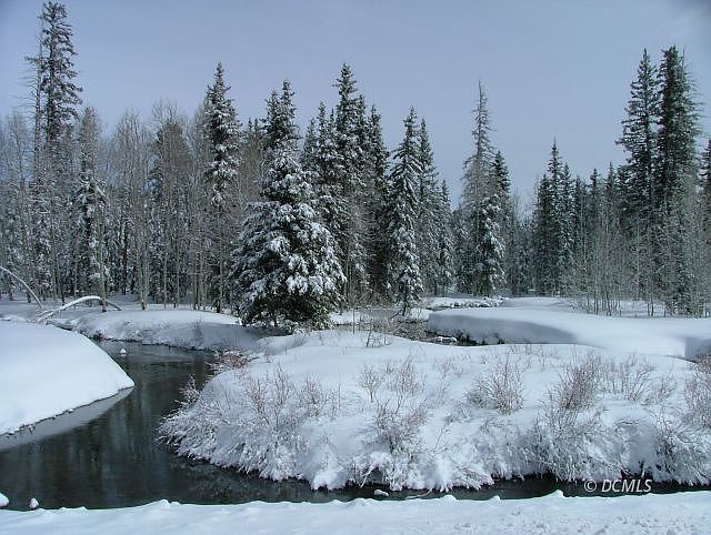 2nd image of 9 Af Of Water Br #81-4933