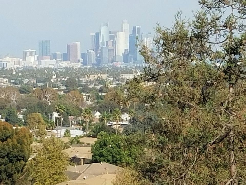 Beautiful City View