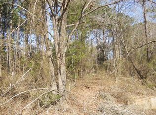 Big Lake Rd, Karnack, TX 75661