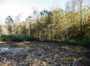 W Short Mtn. Rd, Sneedville, TN 37869