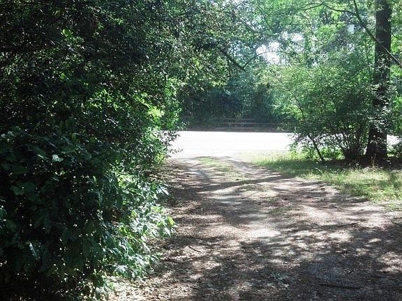 Shaded driveway