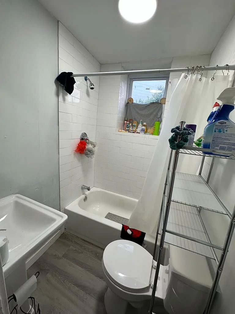 1 bed, $1,100 — Photo 3
