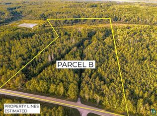 XXX Crane Lake Rd, Orr, MN 55771