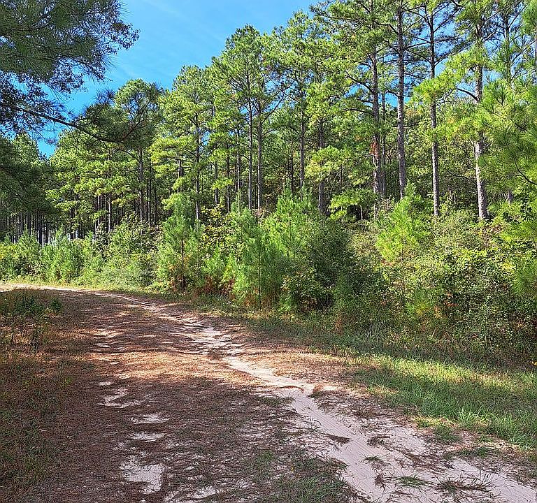 Ollie Loop, Leggett, TX 77350 Zillow