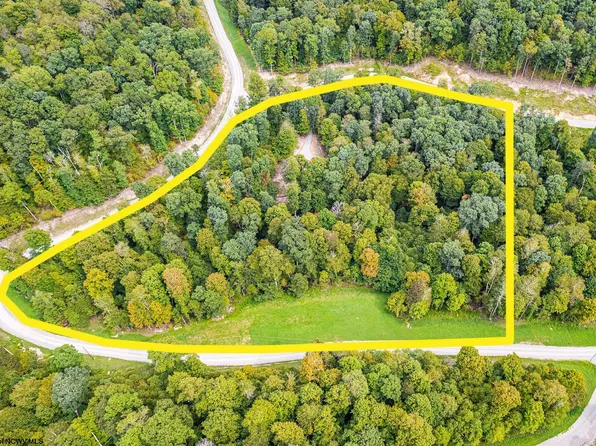 86 Whitewater Preserve Rd, Bruceton Mills, WV 26525