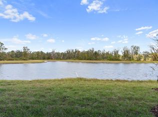 33083 Regent Canal St #33083, Wesley Chapel, FL 33545
