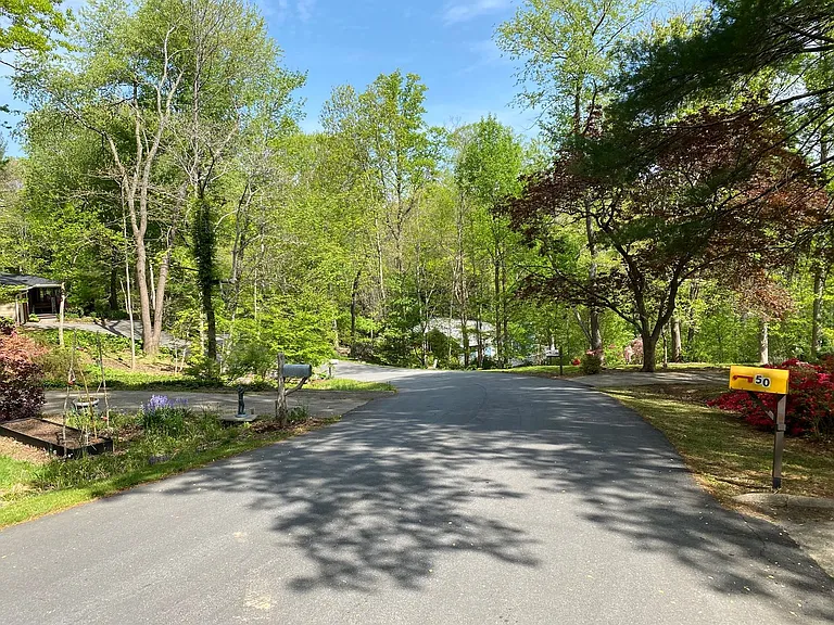 50 Ferncliff Dr — Photo 52