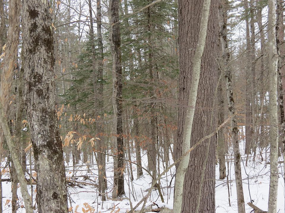 2nd image of 0 Algonquin Ln