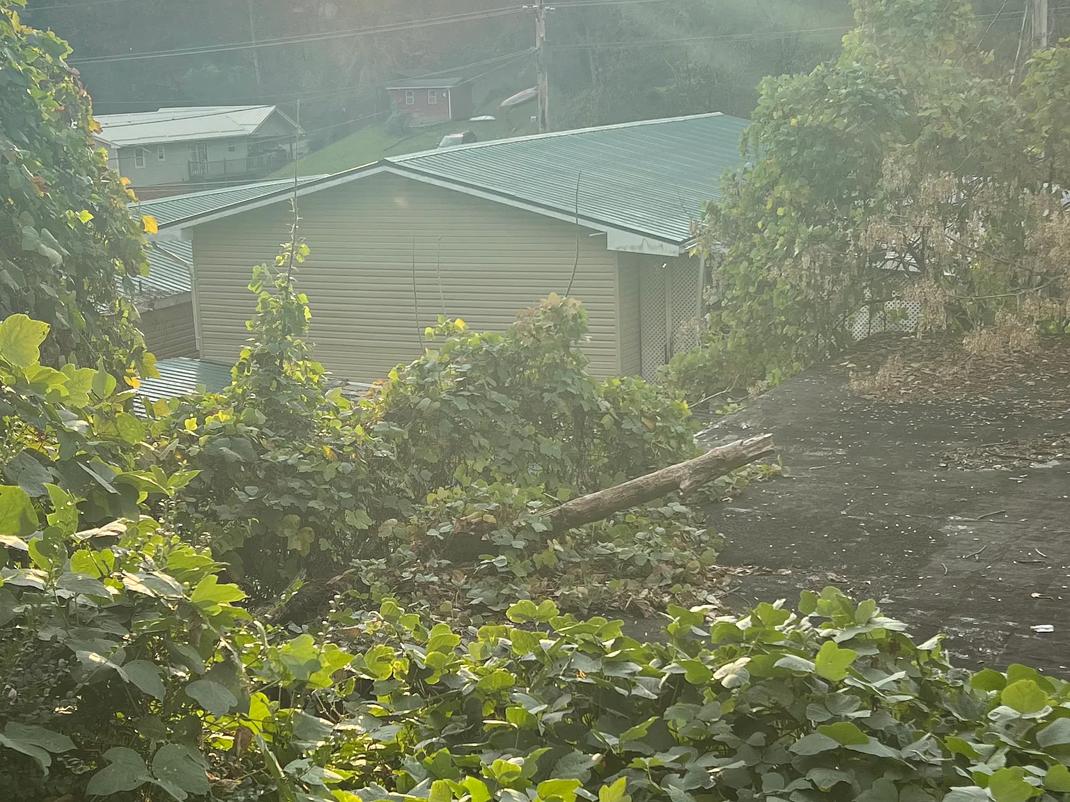 Lynn Garden — Photo 3