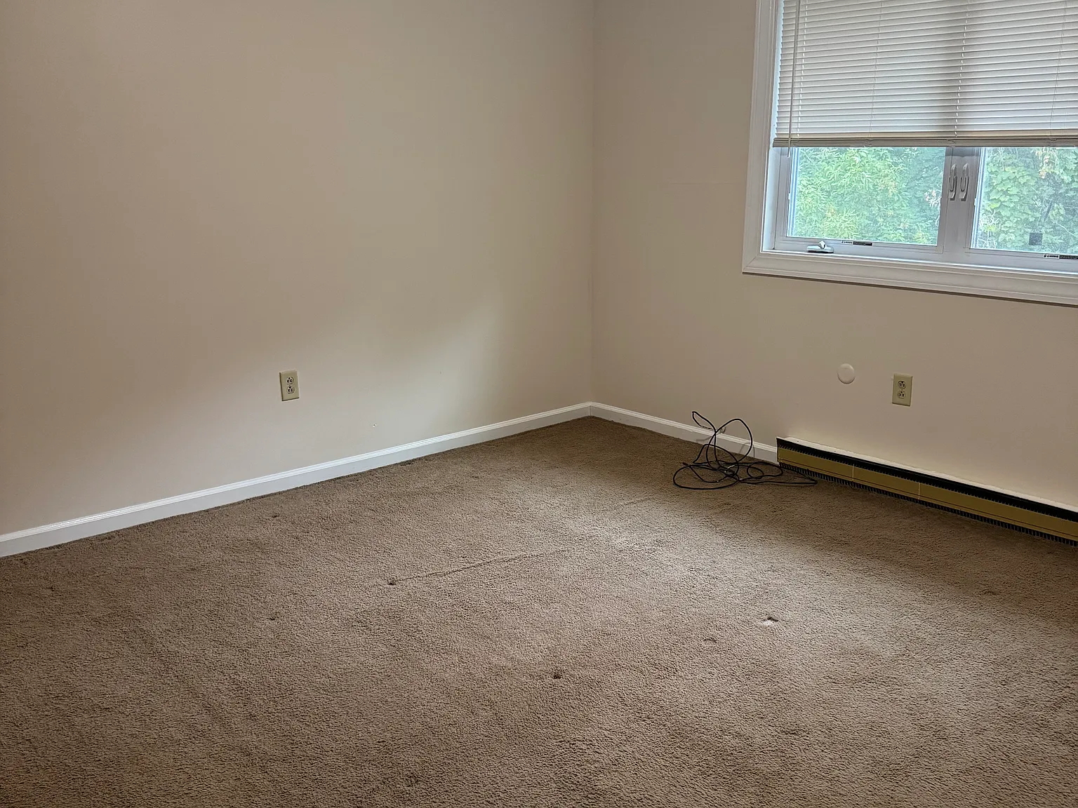 2 bed, 780 sqft, $1,450 — Photo 2