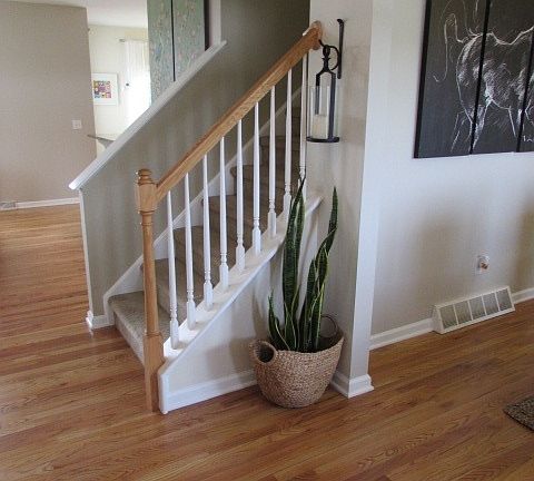 3rd image of 1 Avendale Dr