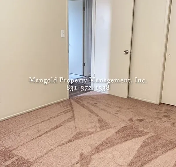 255four — Photo 3