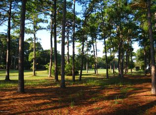 3319 Wild Azalea Way SE, Southport, NC 28461