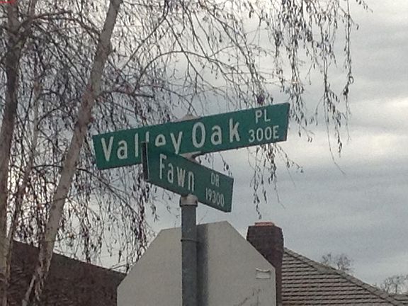 5th image of 368 E Valley Oak Pl