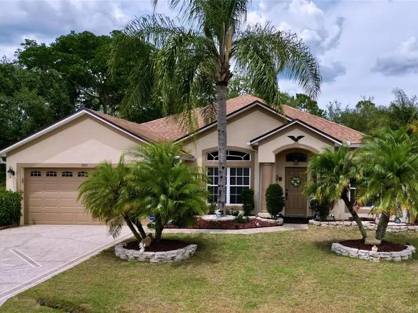 1011 Dampierre Ct, Kissimmee, FL 34759