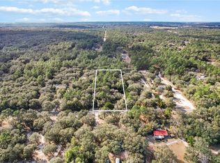 4700 SW 181st Ct, Dunnellon, FL 34432