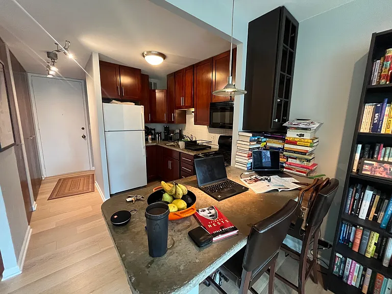 1 E Scott St #1012 — Photo 5