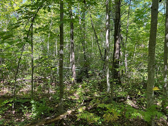 5th image of 0 Maple Tree Ln