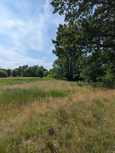 547 N Main St, Ceresco, MI, 49033