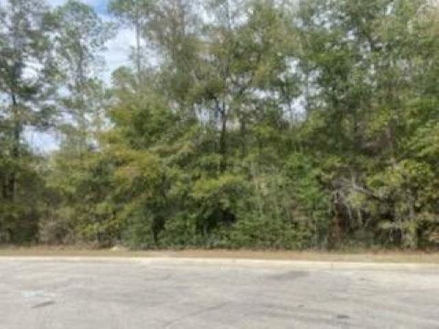 2nd image of Xx Crawfordville Hwy