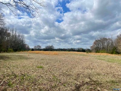 County Road 136, Town Creek, AL, 35672
