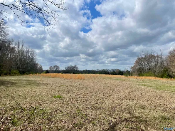 County Road 136, Town Creek, AL 35672