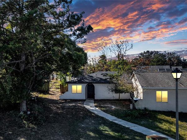 orlando-florida-46201859 picture