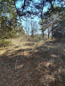 0 Flint Hill Rd #1, Aragon, GA, 30104