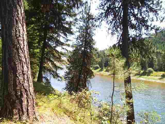 1st image of Tbt Trestle Creek Dr