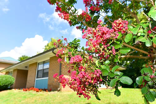 324 Croley Ct #324 Photo 1