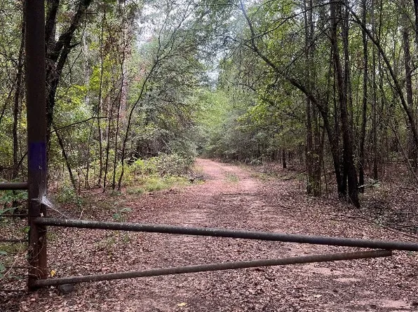County Road 2880, Mineola, TX 75773