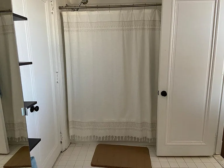 Main bathroom shower and bathtub