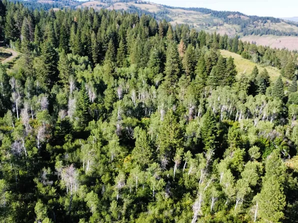 Tbd Cow Creek Rd, Cambridge, ID 83610