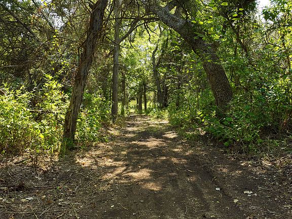 2nd image of 310/- Acres Onion Creek Ranch Hays County 13850 West Br #150