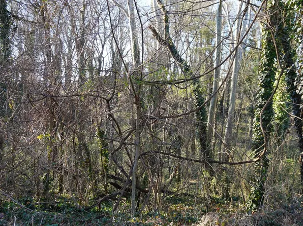 0 Brooke St, Brookneal, VA 24528