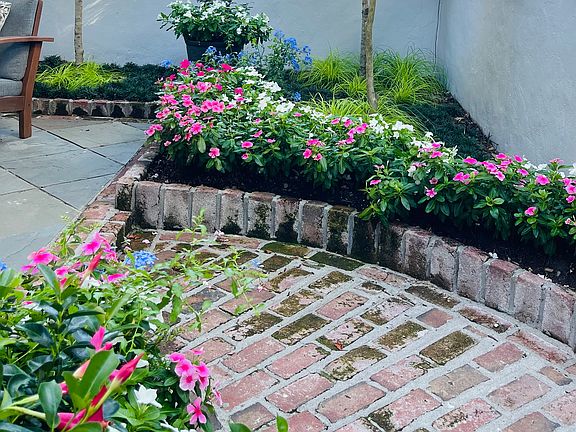 Blooming Vinca!