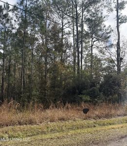 0 Smith St, Bay Saint Louis, MS, 39520