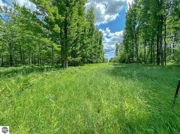 10825 NE County Line Rd, Coleman, MI 48618