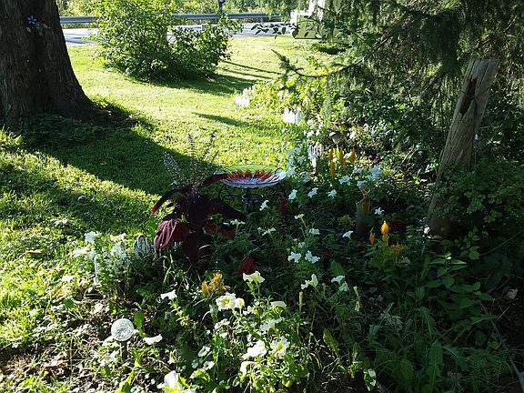 Established Front Garden