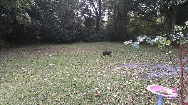 back yard
